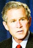 Bush hlynntur rannsókn á atburðunum í Jenín