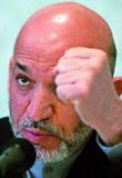 Karzai fordæmir pyntingar