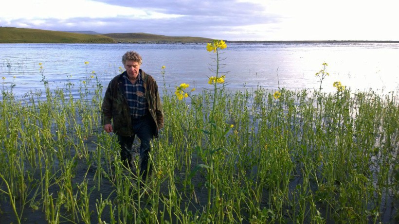 Gísli Halldór Magnússon, bóndi á Ásum, veður vatnið sem hef­ur flætt yfir kálg­arð á landi hans.