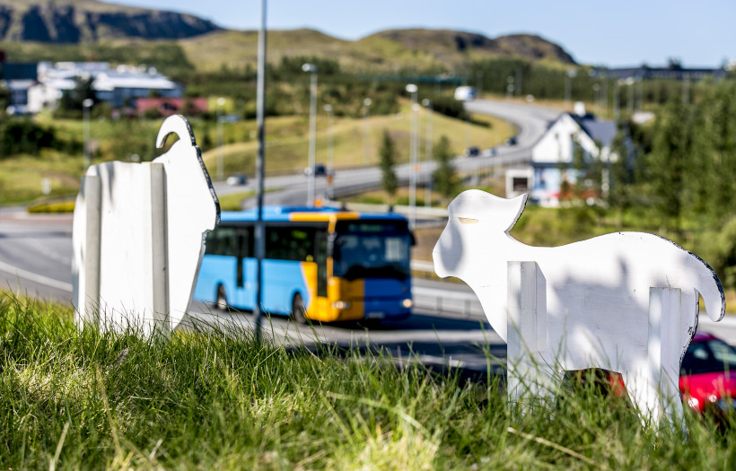 Kindur og lömb í Mosfellsbæ vöktu athygli vegfaranda. Skepnurnar, sem eru úr tré, voru settar upp í tilefni bæjarhátíðarinnar Í túninu heima.