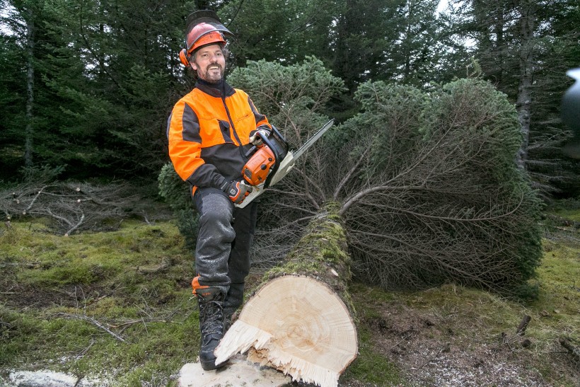 Dagur borgarstjóri felldi Færeyjatréð í Heiðmörk. Í fréttabréfi sínu sagðist hann örugglega vera montnasti skógarhöggsmaður í heimi, allavega ef marka má myndina.